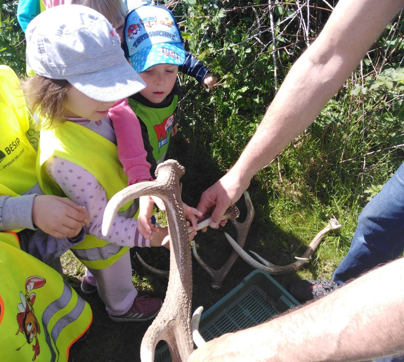 Vycházka za jeleny a návštěva lesní školky - 34