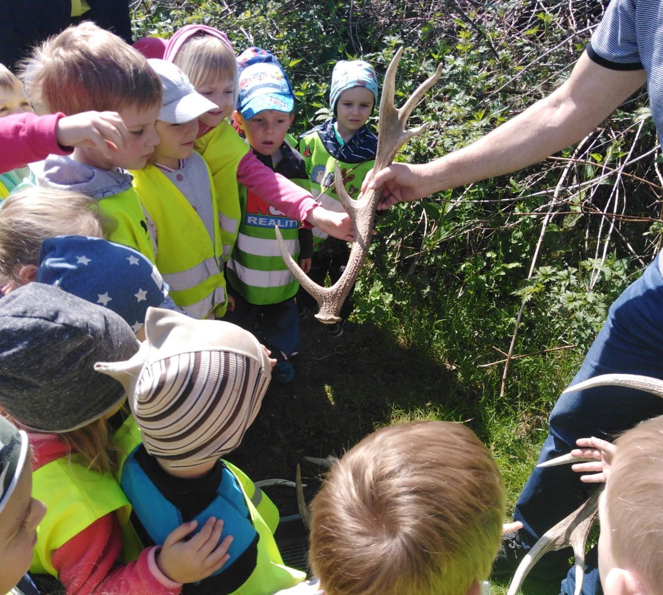 Vycházka za jeleny a návštěva lesní školky - 37
