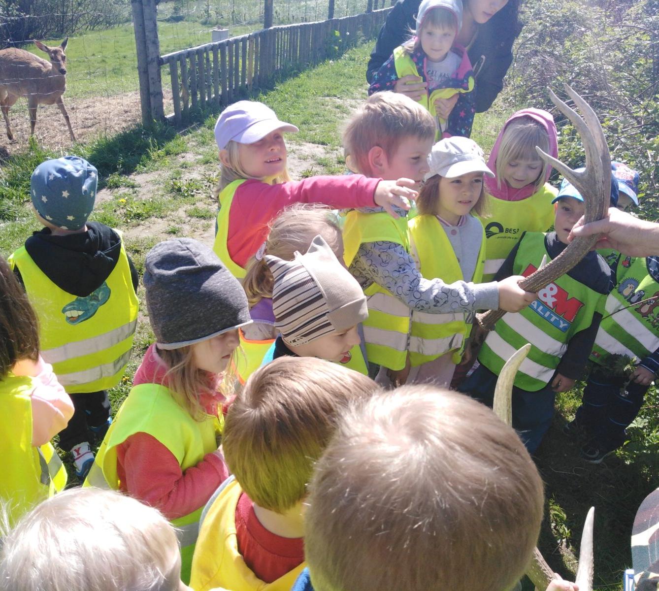 Vycházka za jeleny a návštěva lesní školky - 38