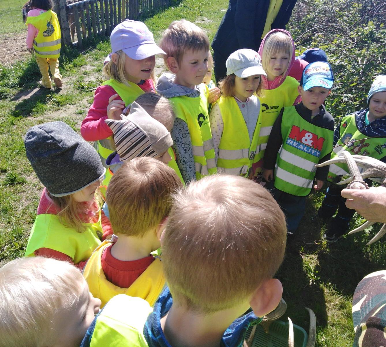 Vycházka za jeleny a návštěva lesní školky - 39