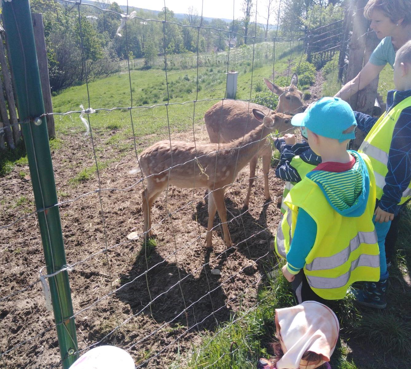 Vycházka za jeleny a návštěva lesní školky - 42