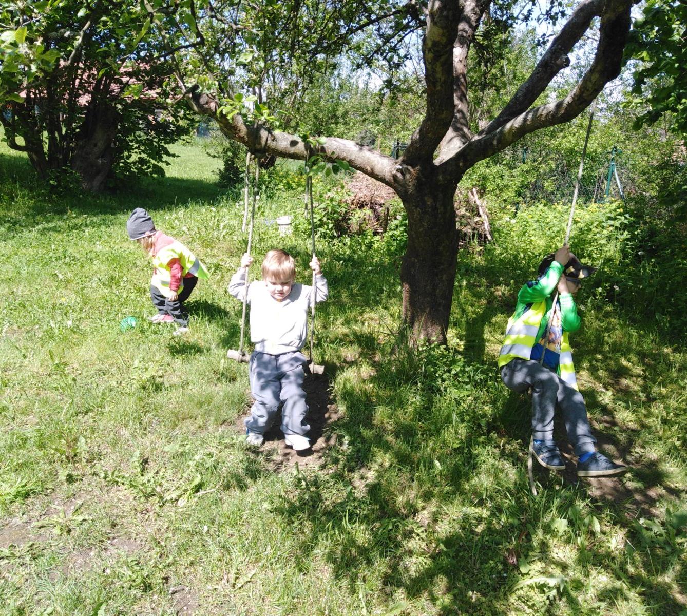 Vycházka za jeleny a návštěva lesní školky - 56
