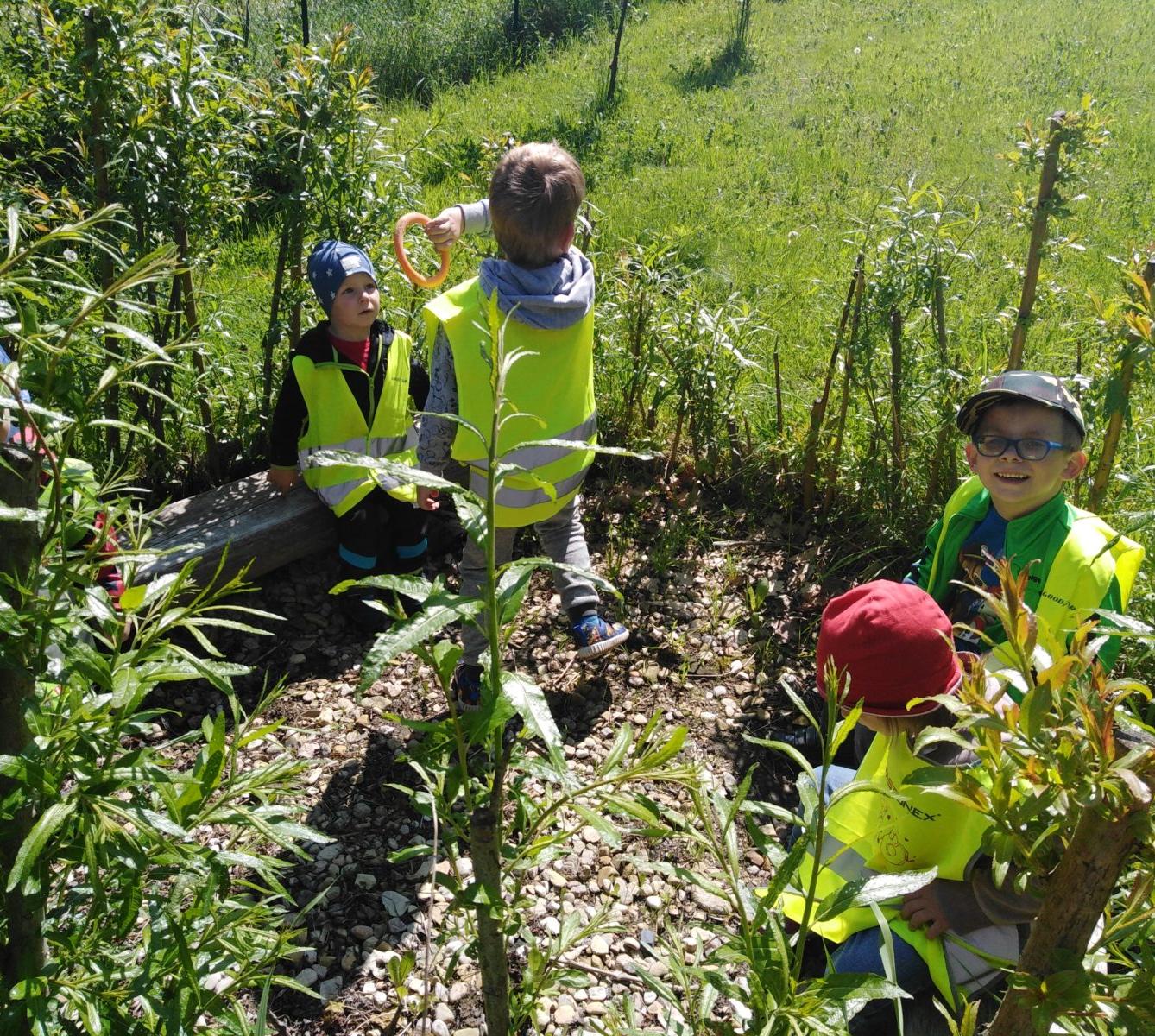 Vycházka za jeleny a návštěva lesní školky - 58