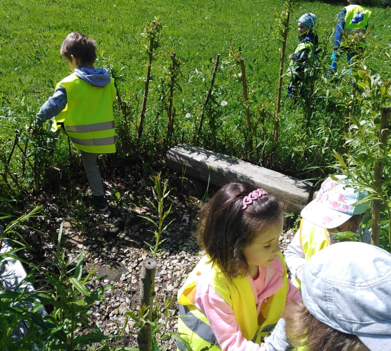 Vycházka za jeleny a návštěva lesní školky - 59