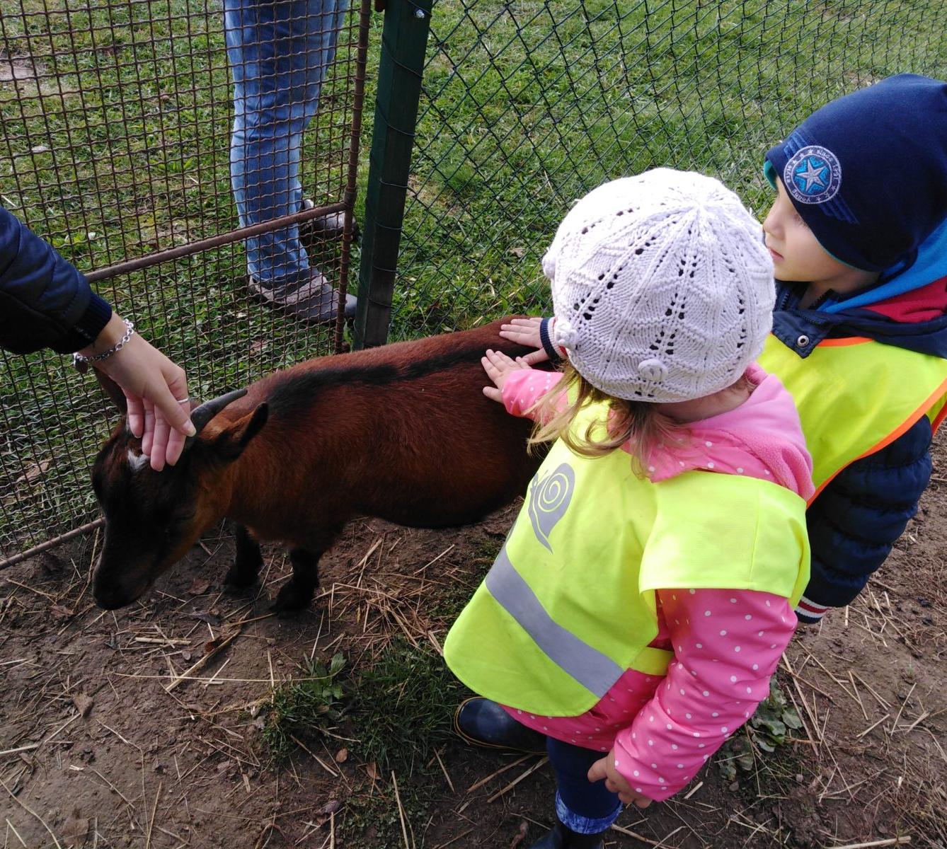 Broučci: vycházky za zvířátky - 1