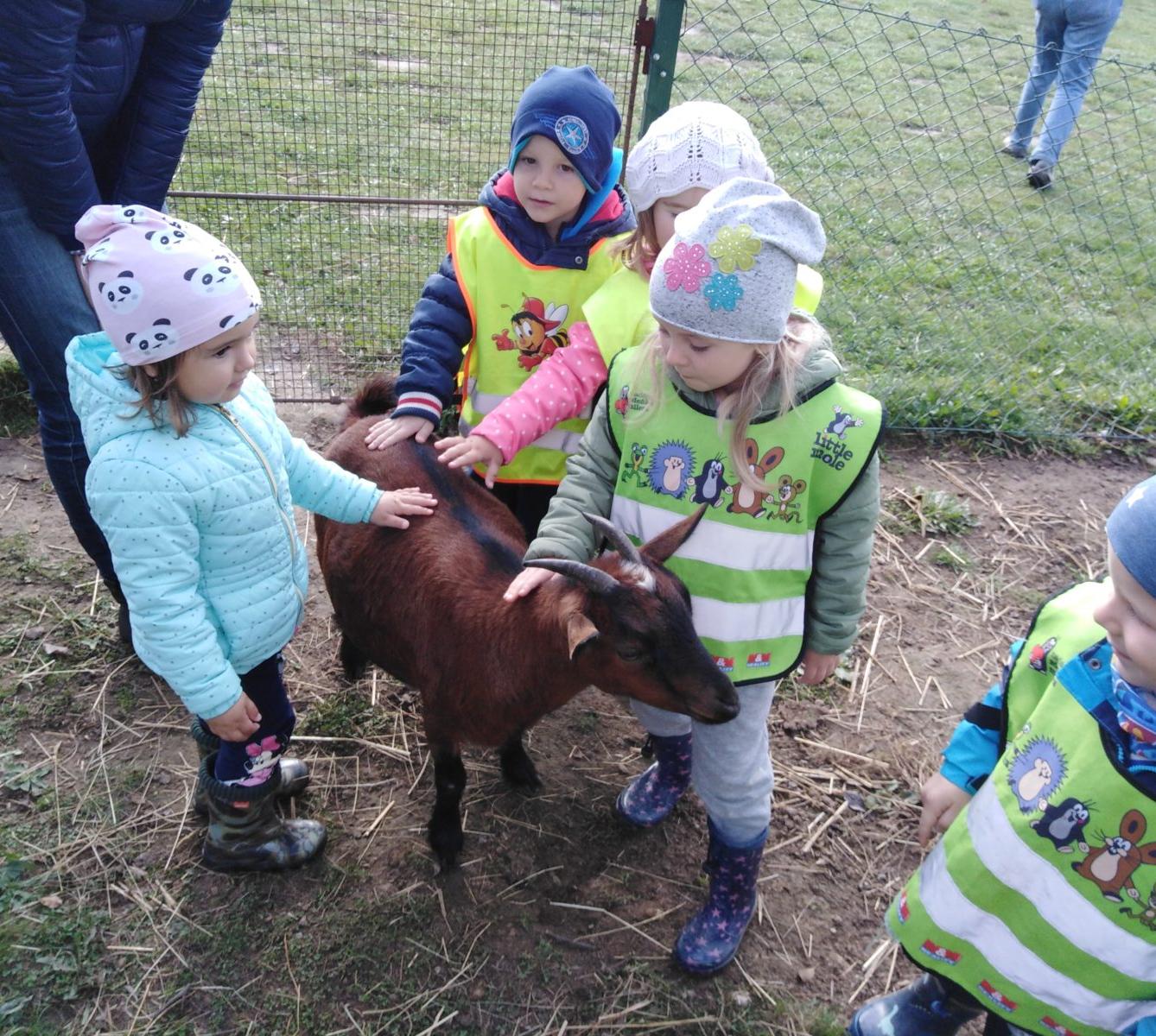 Broučci: vycházky za zvířátky - 2