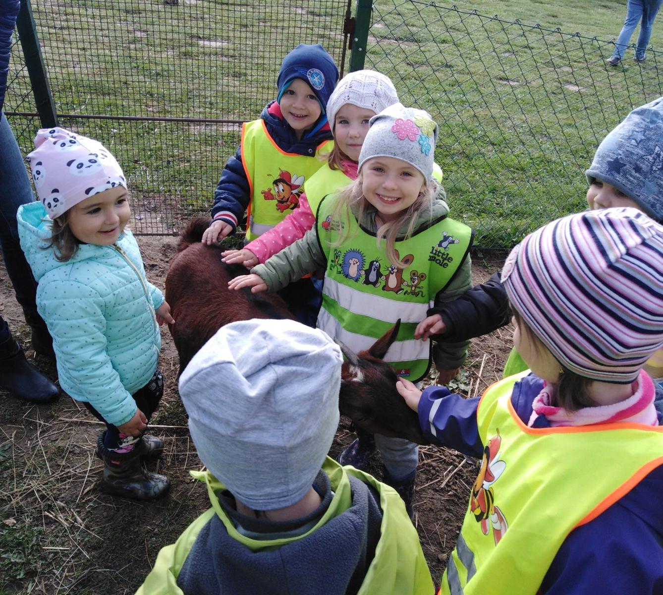 Broučci: vycházky za zvířátky - 3