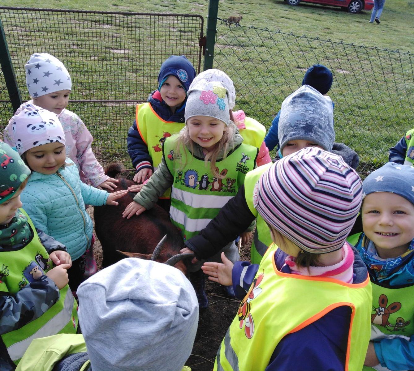 Broučci: vycházky za zvířátky - 5