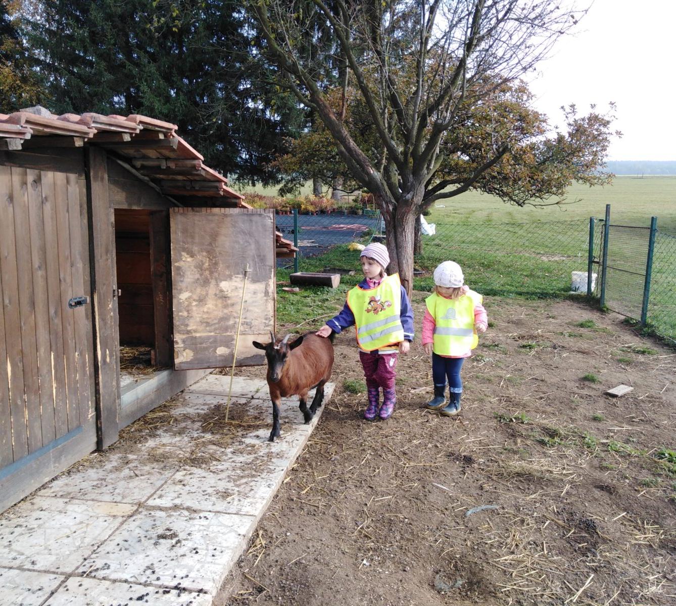 Broučci: vycházky za zvířátky - 8