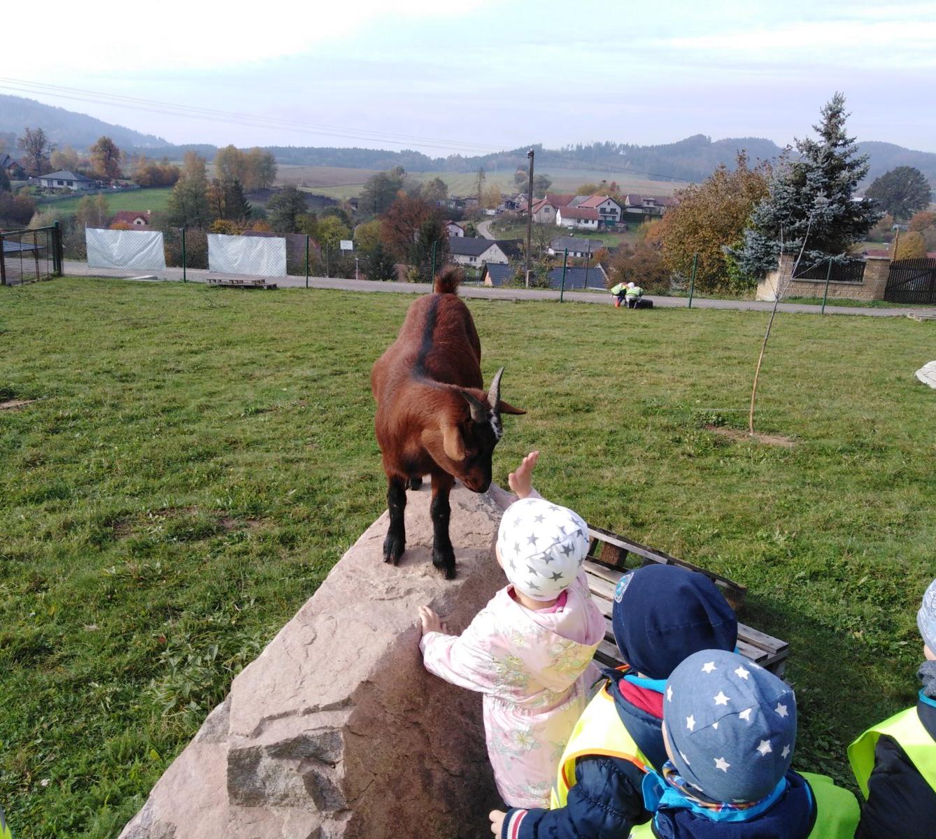 Broučci: vycházky za zvířátky - 10