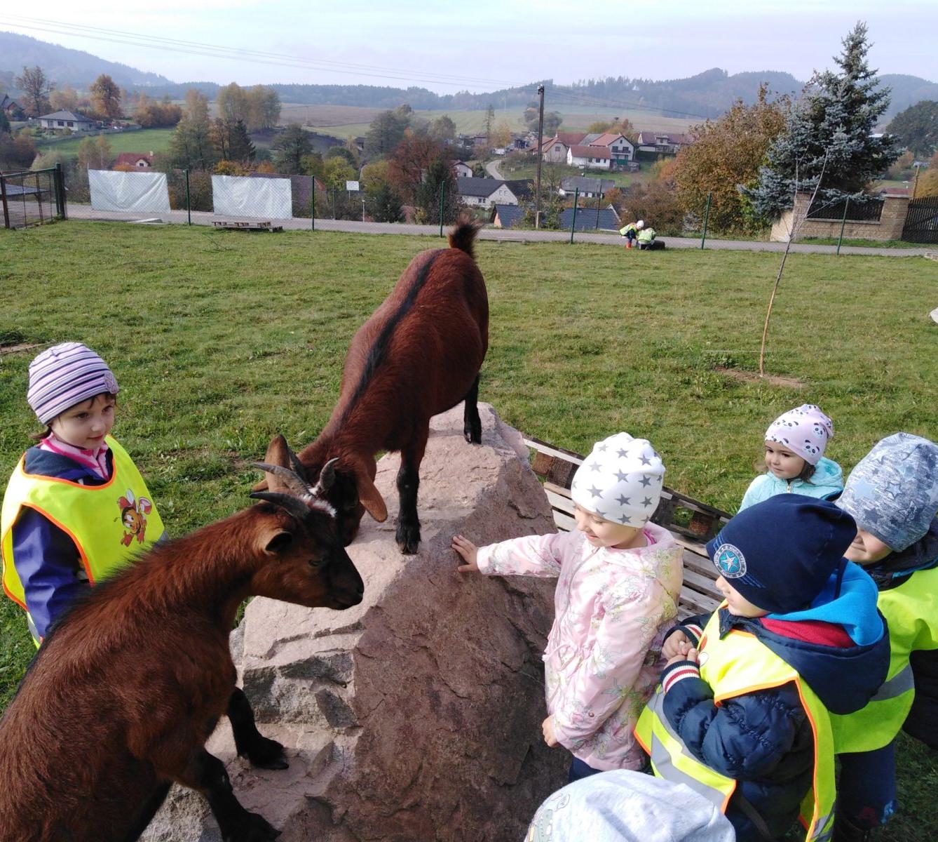Broučci: vycházky za zvířátky - 11