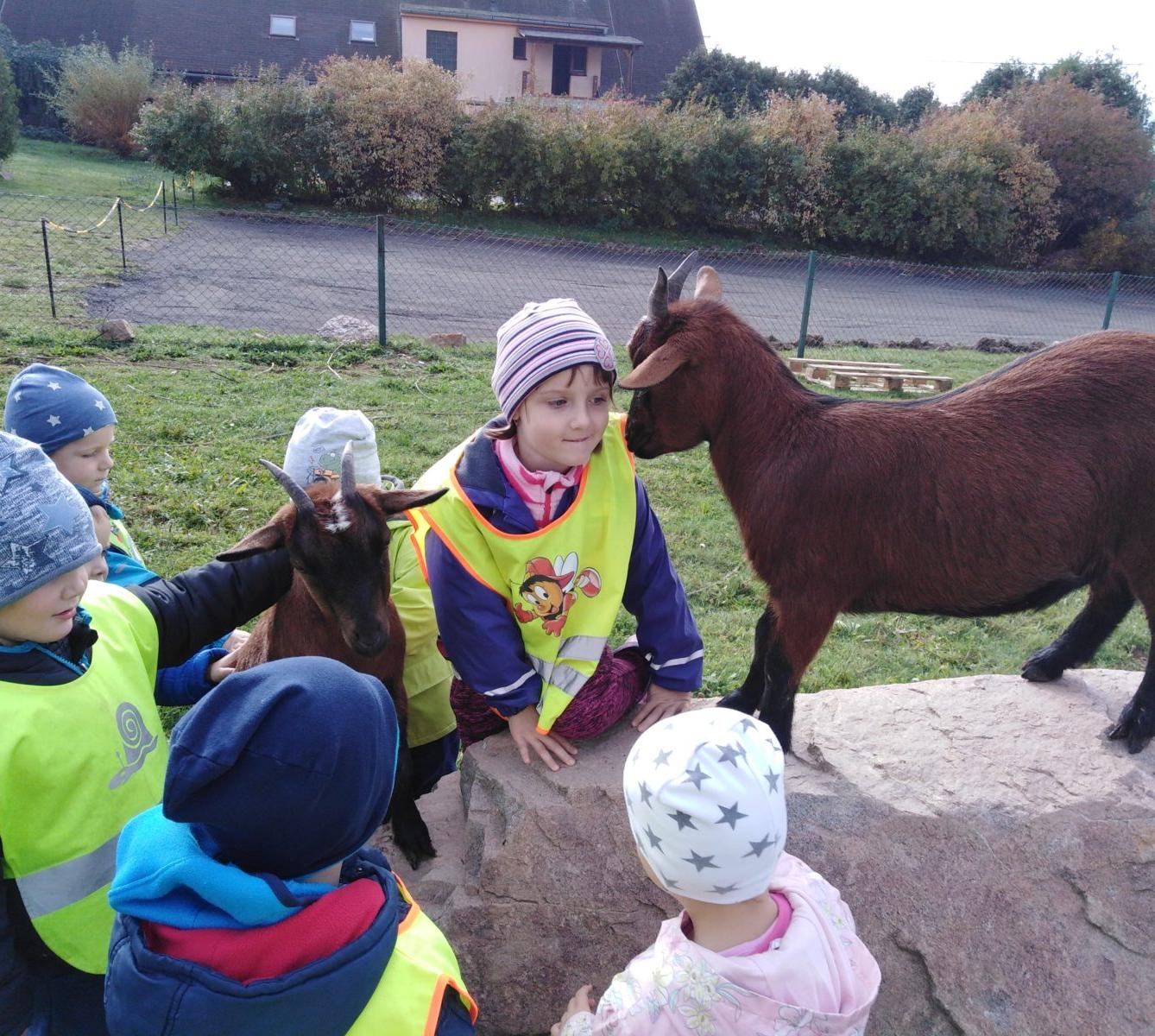 Broučci: vycházky za zvířátky - 14