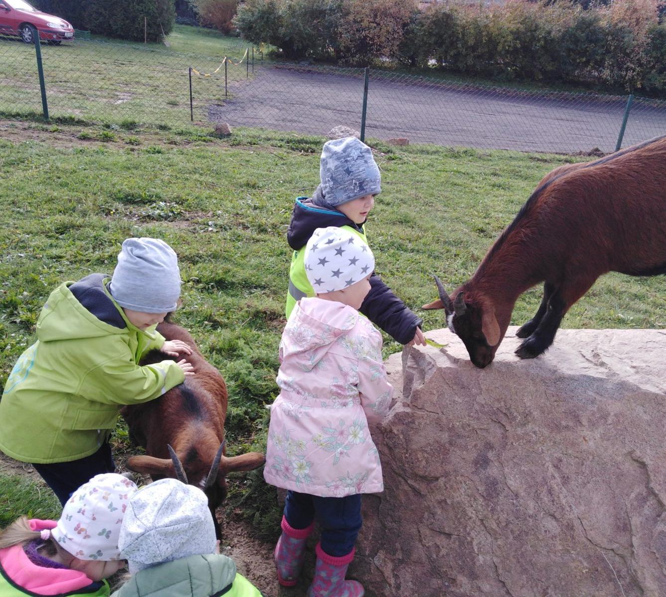 Broučci: vycházky za zvířátky - 16