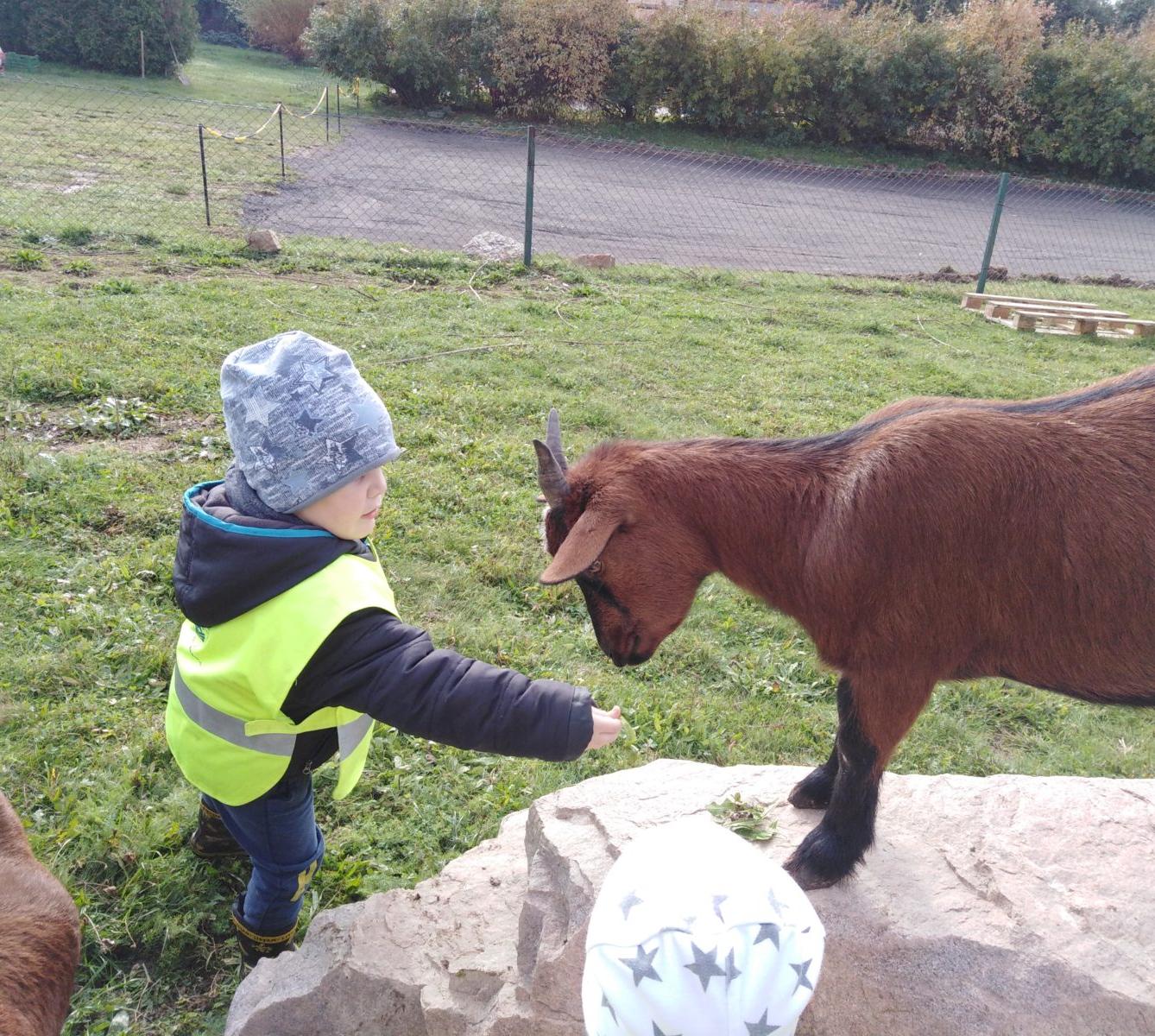 Broučci: vycházky za zvířátky - 17