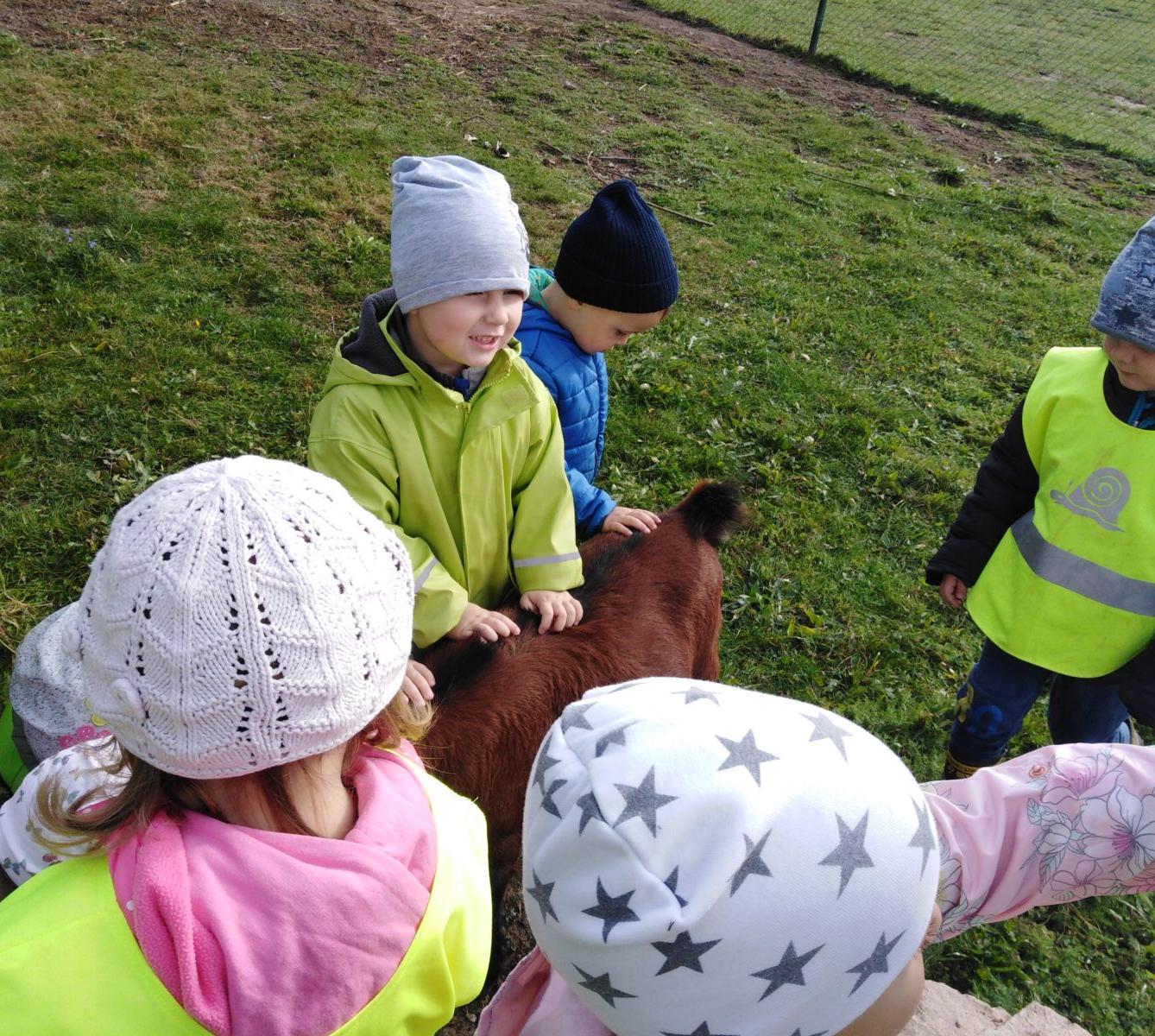 Broučci: vycházky za zvířátky - 18