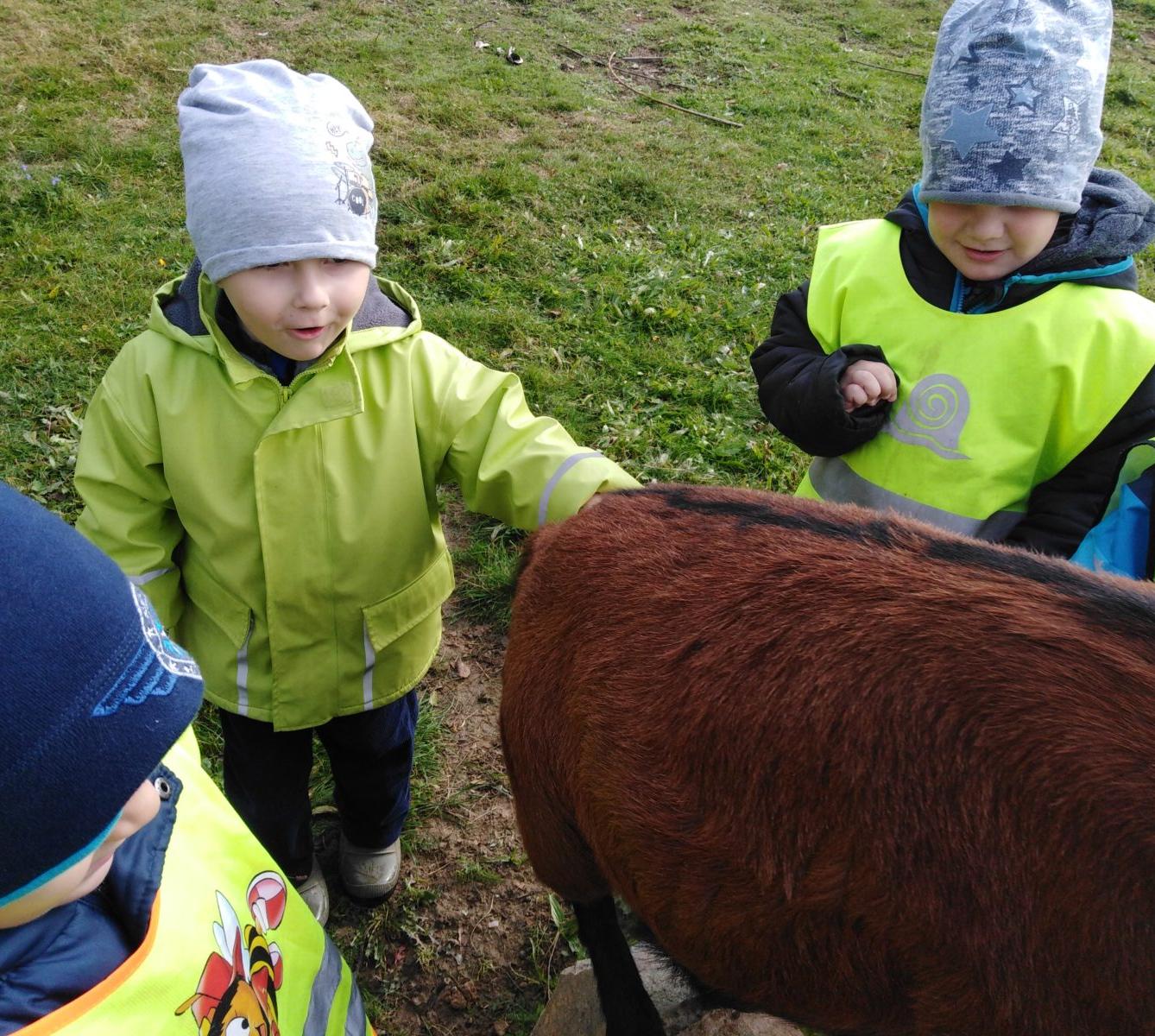 Broučci: vycházky za zvířátky - 19