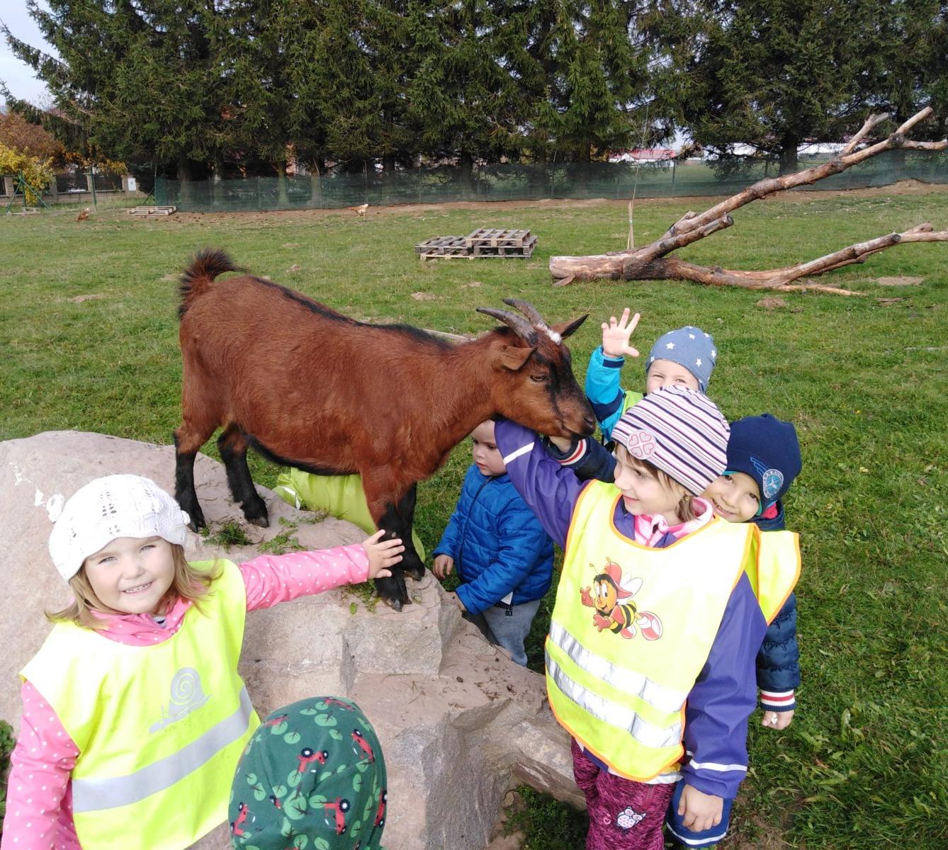 Broučci: vycházky za zvířátky - 22