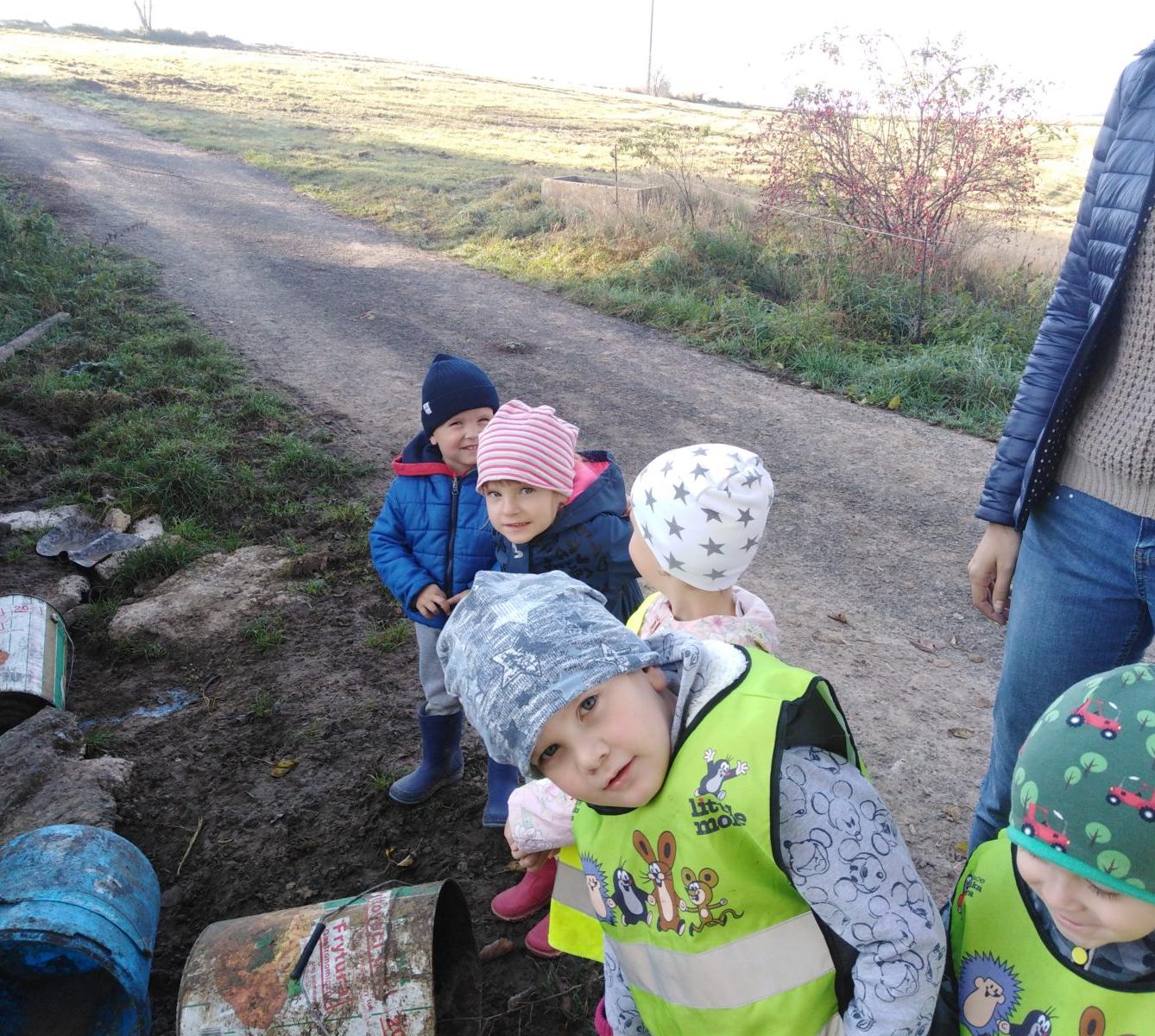 Broučci: vycházky za zvířátky - 28