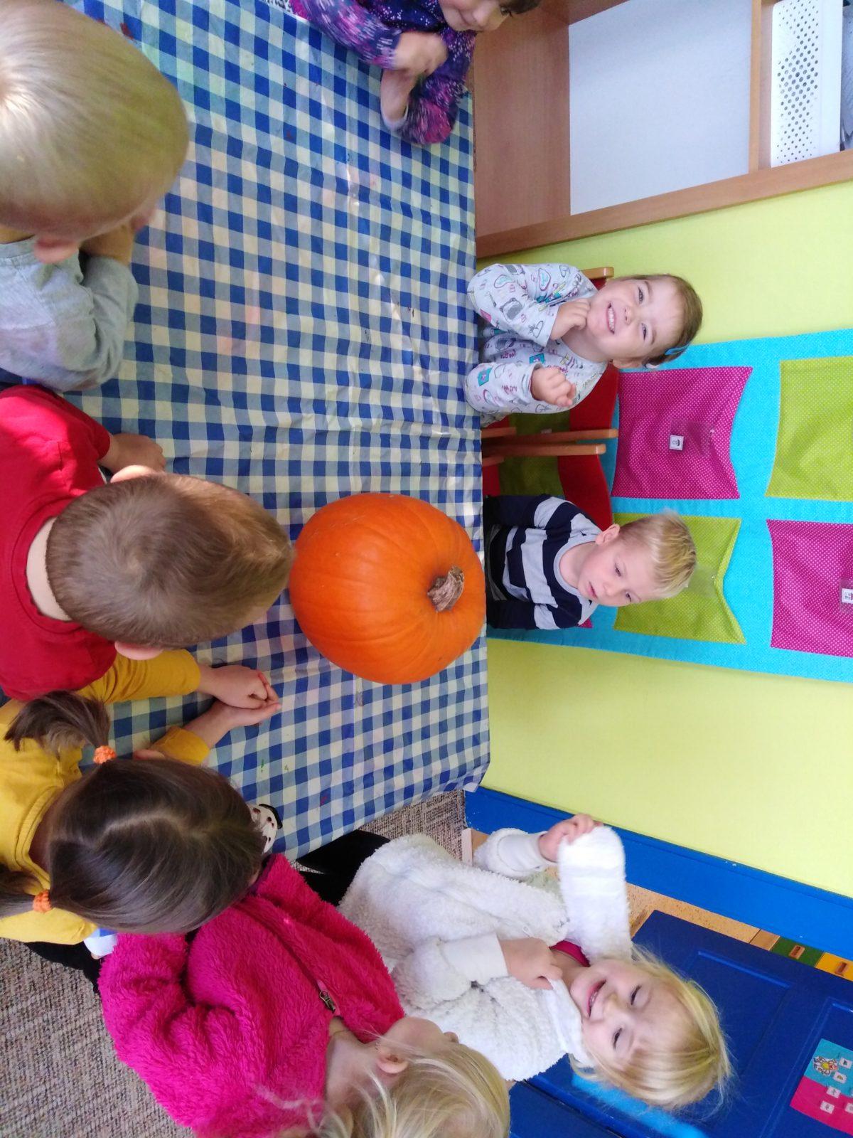 Broučci: "Dýňohrátky" - 1