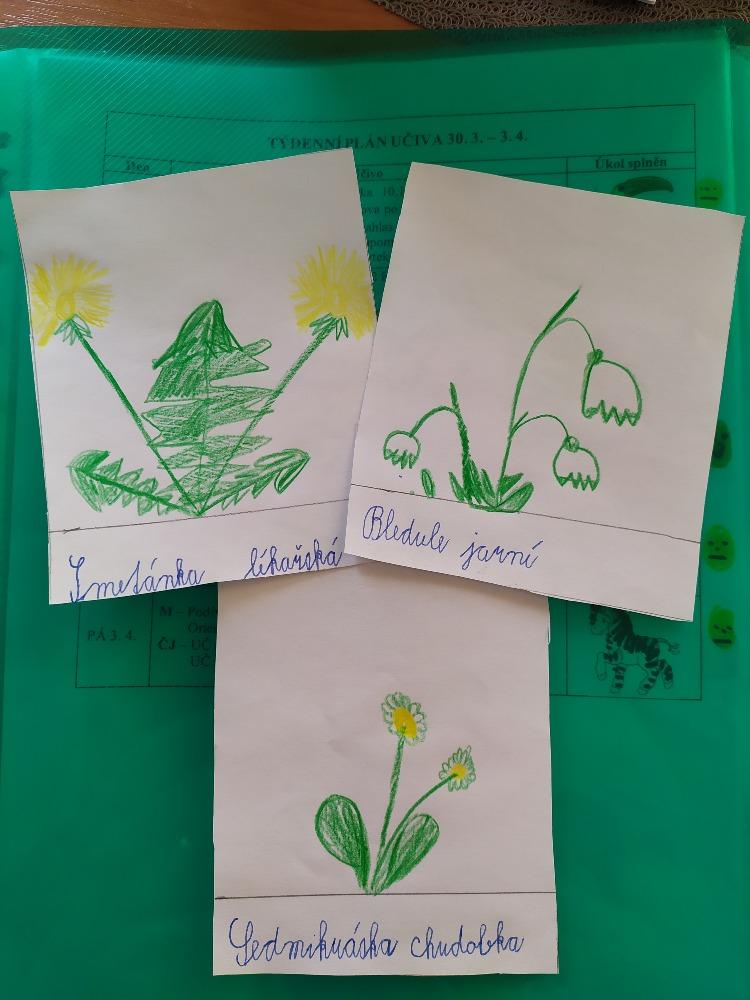 Den Země od třeťáčků 22. 4. - 12