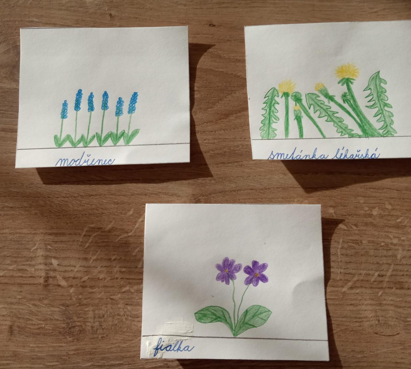 Den Země od třeťáčků 22. 4. - 14