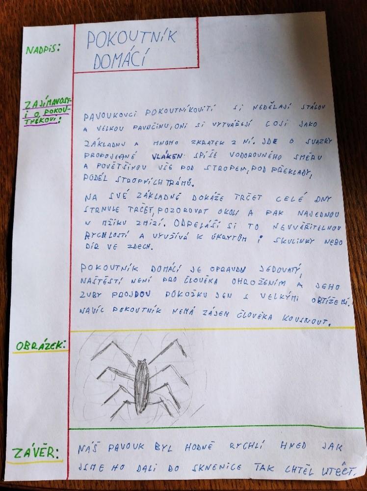 Pozorování pavoukovců - žáci 6. tříd - 7