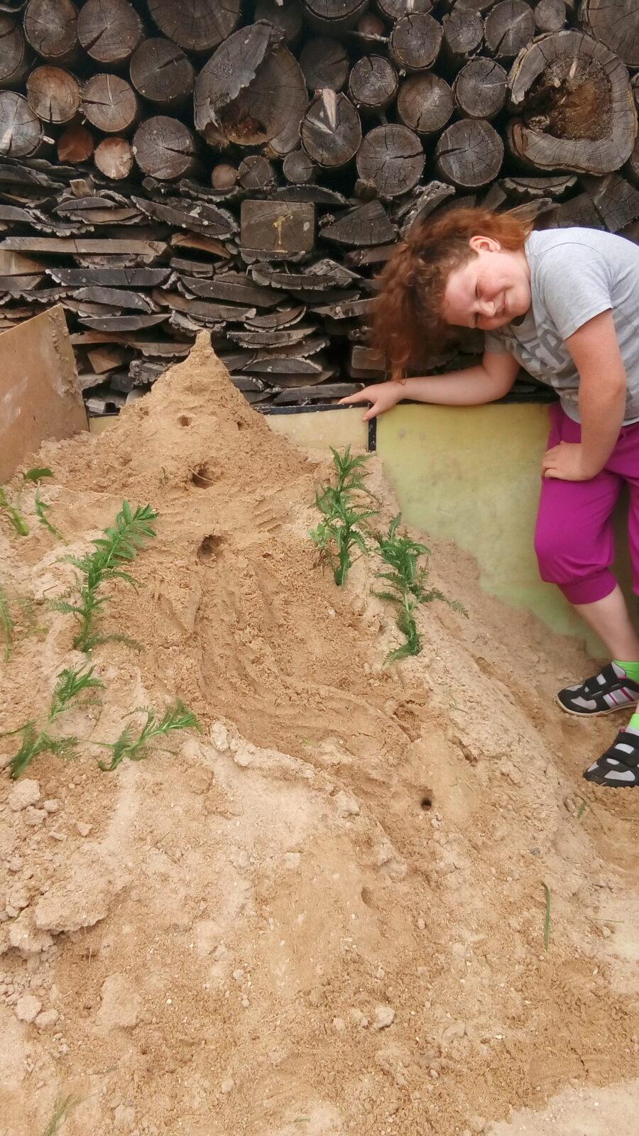 AKTIVITY VE 4.B - 14