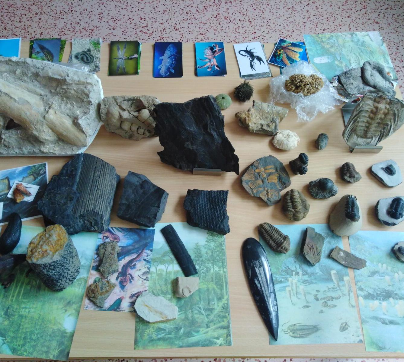 Projektový den v MŠ: "Cesta do Pravěku" - 4