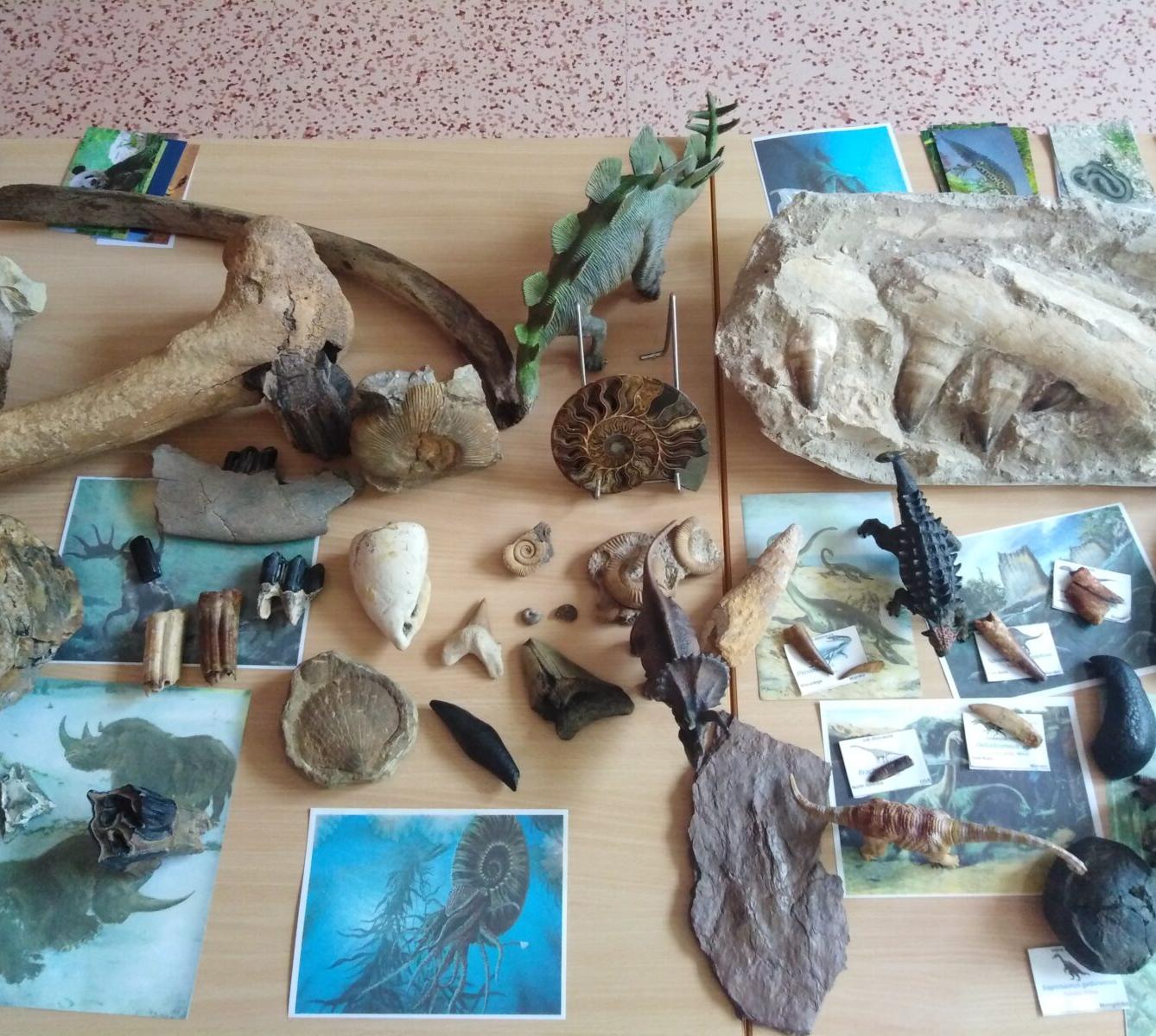 Projektový den v MŠ: "Cesta do Pravěku" - 5