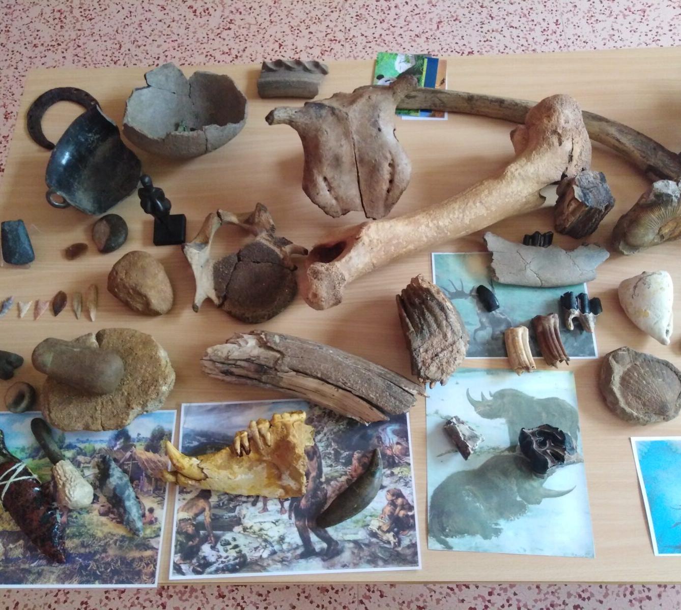 Projektový den v MŠ: "Cesta do Pravěku" - 6