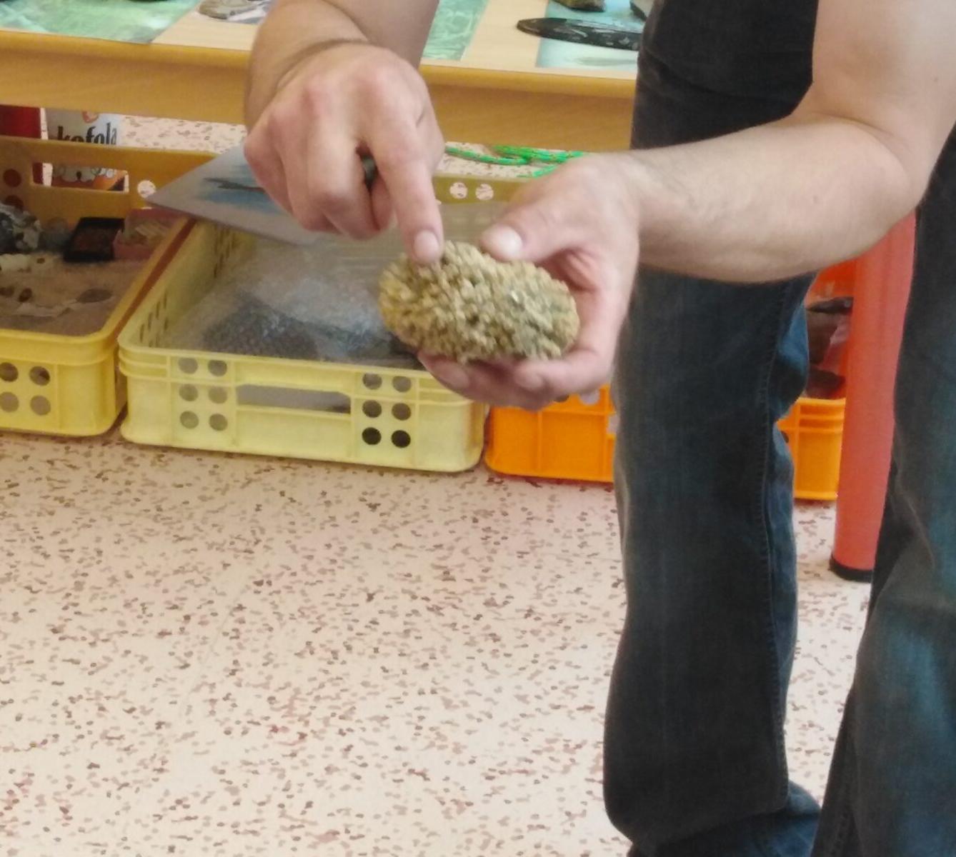 Projektový den v MŠ: "Cesta do Pravěku" - 36