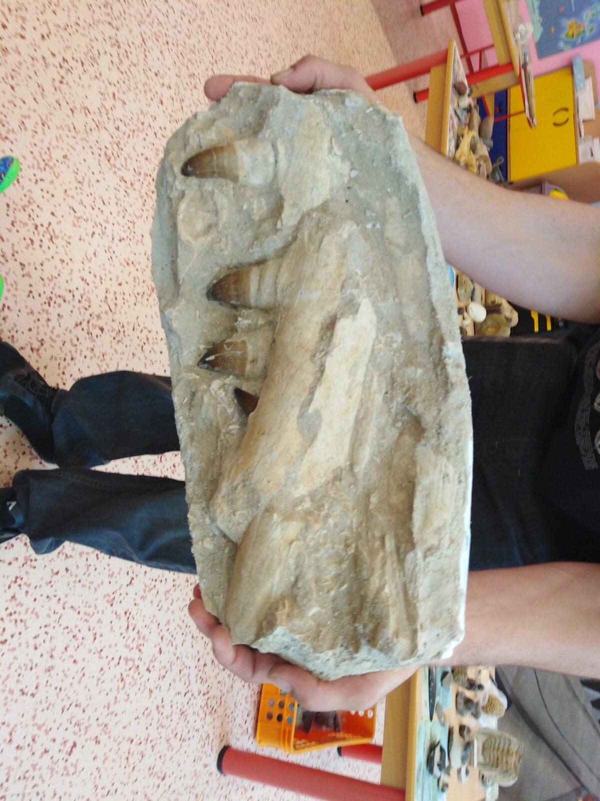 Projektový den v MŠ: "Cesta do Pravěku" - 53