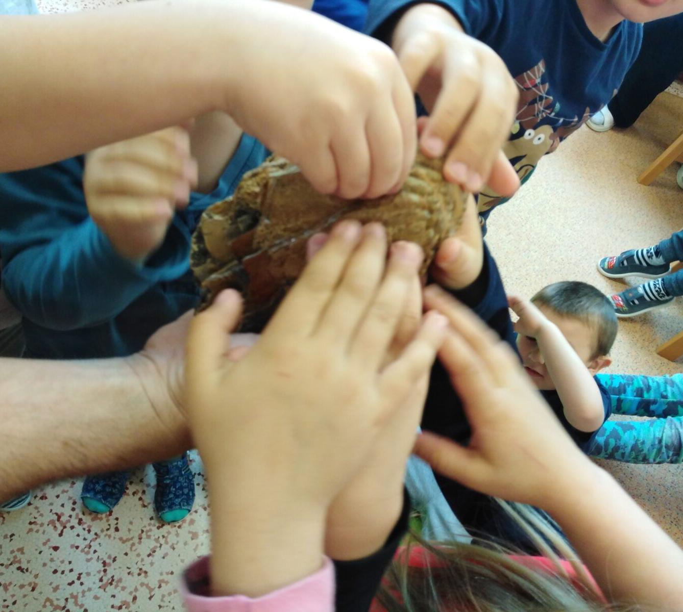 Projektový den v MŠ: "Cesta do Pravěku" - 81