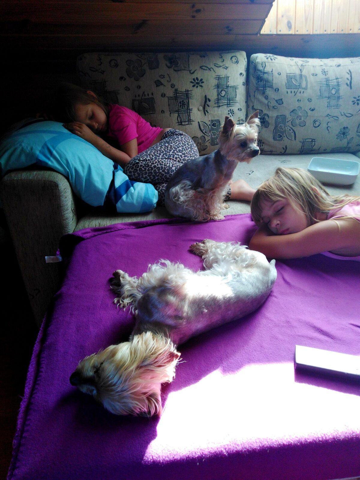 24. 10. Distanční výuka v 1. třídě - 18