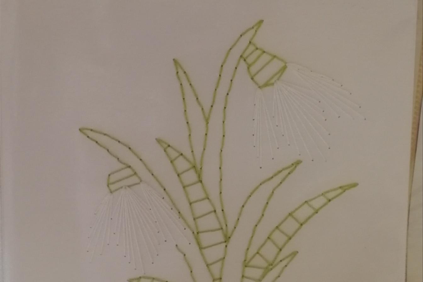 Herbáře - II. stupeň