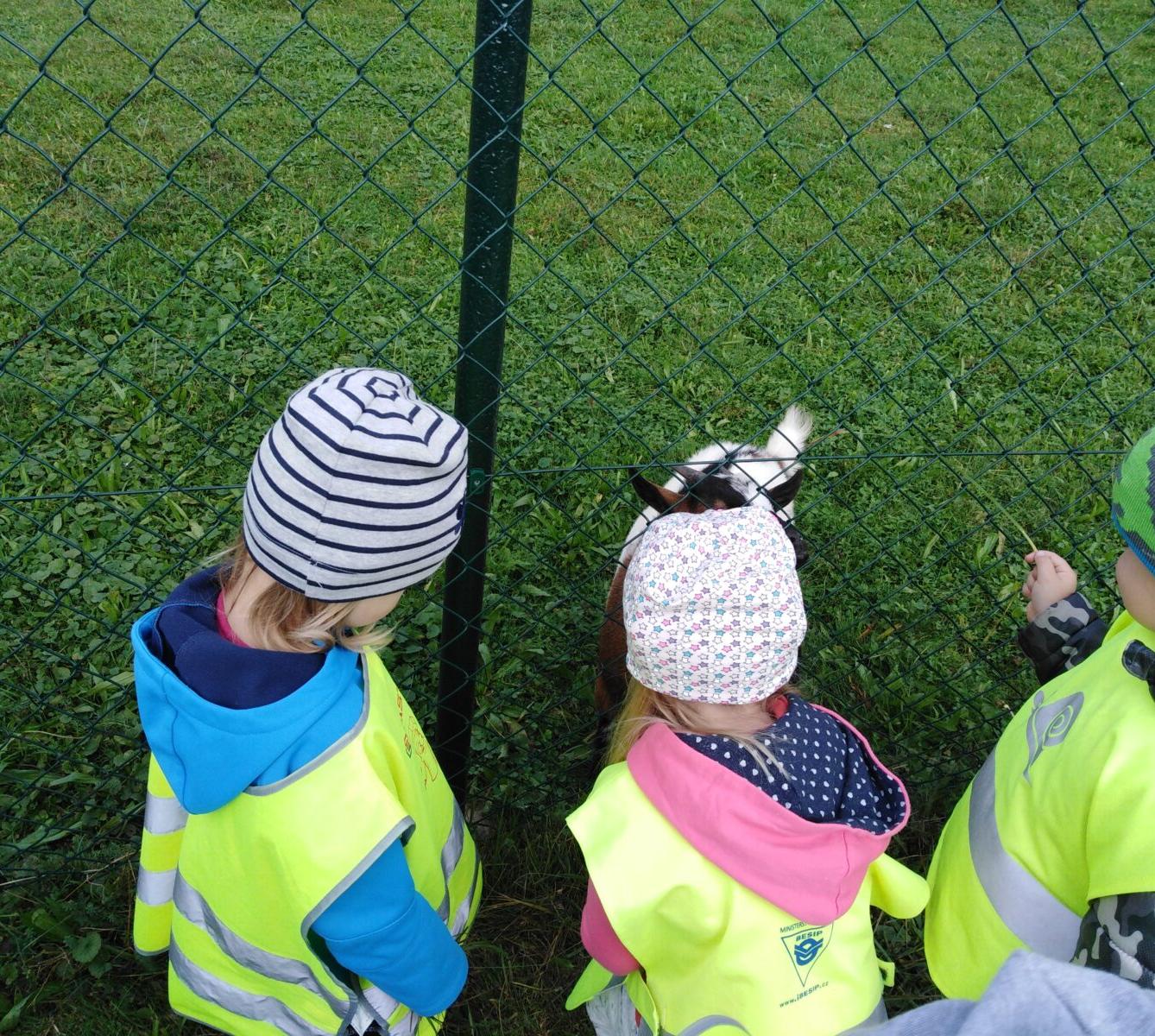 Broučci: vycházky za zvířátky - 7