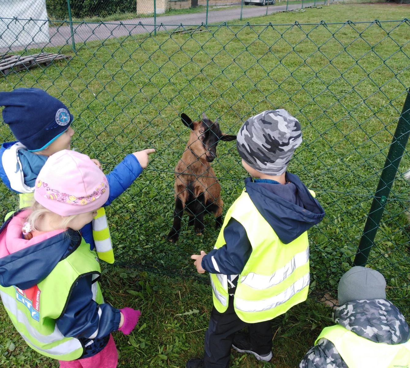 Broučci: vycházky za zvířátky - 12