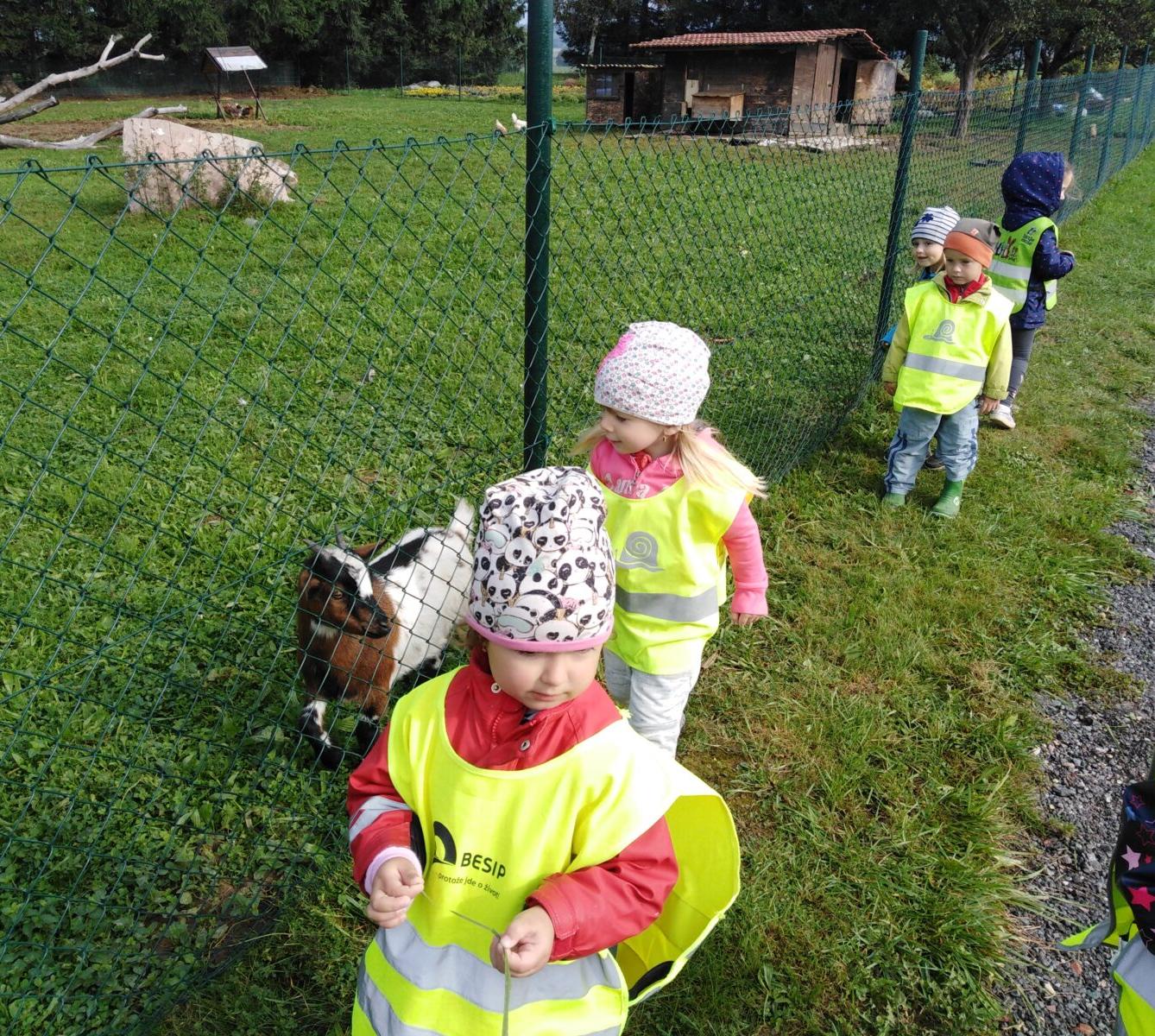 Broučci: vycházky za zvířátky - 13