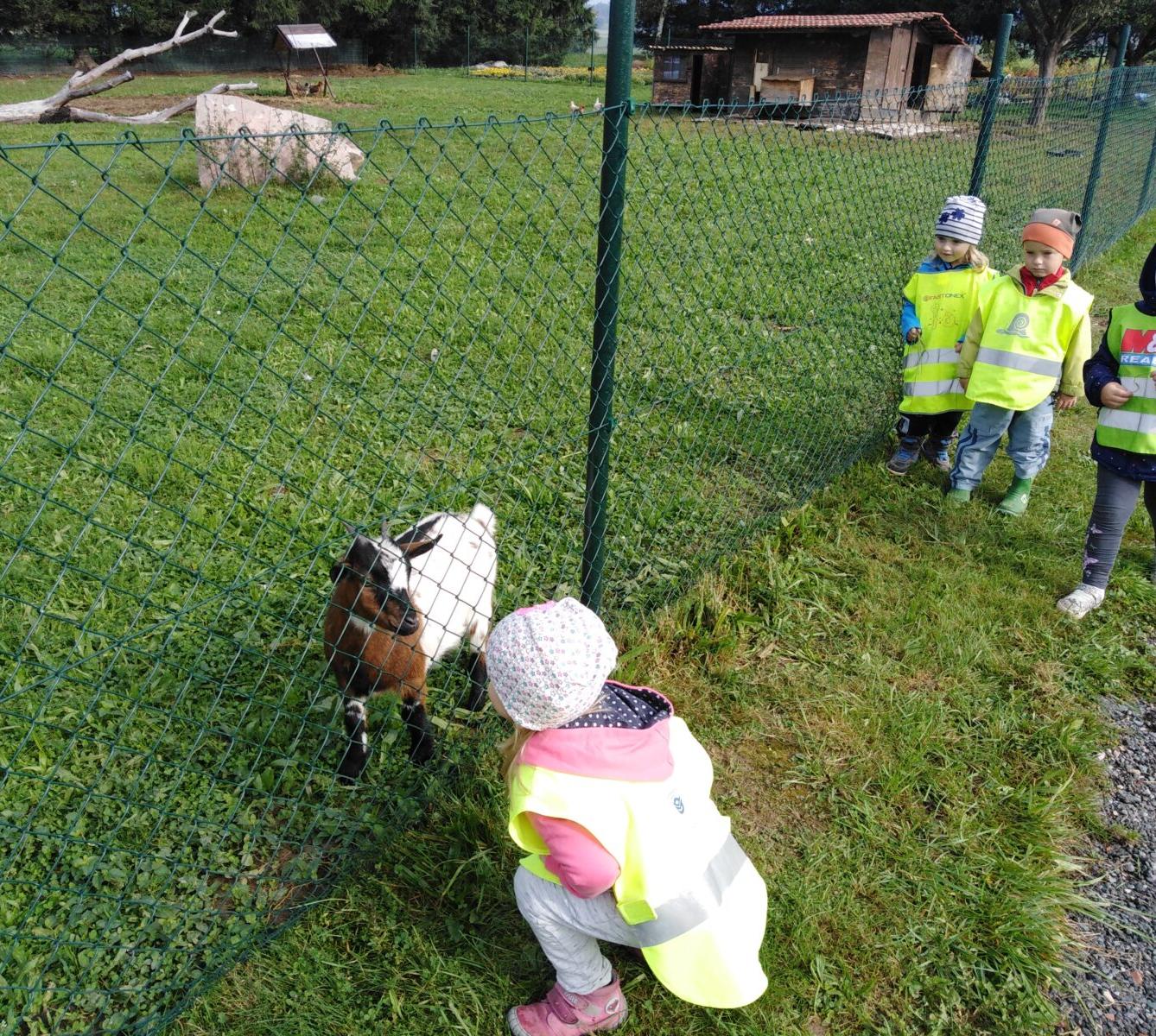 Broučci: vycházky za zvířátky - 14