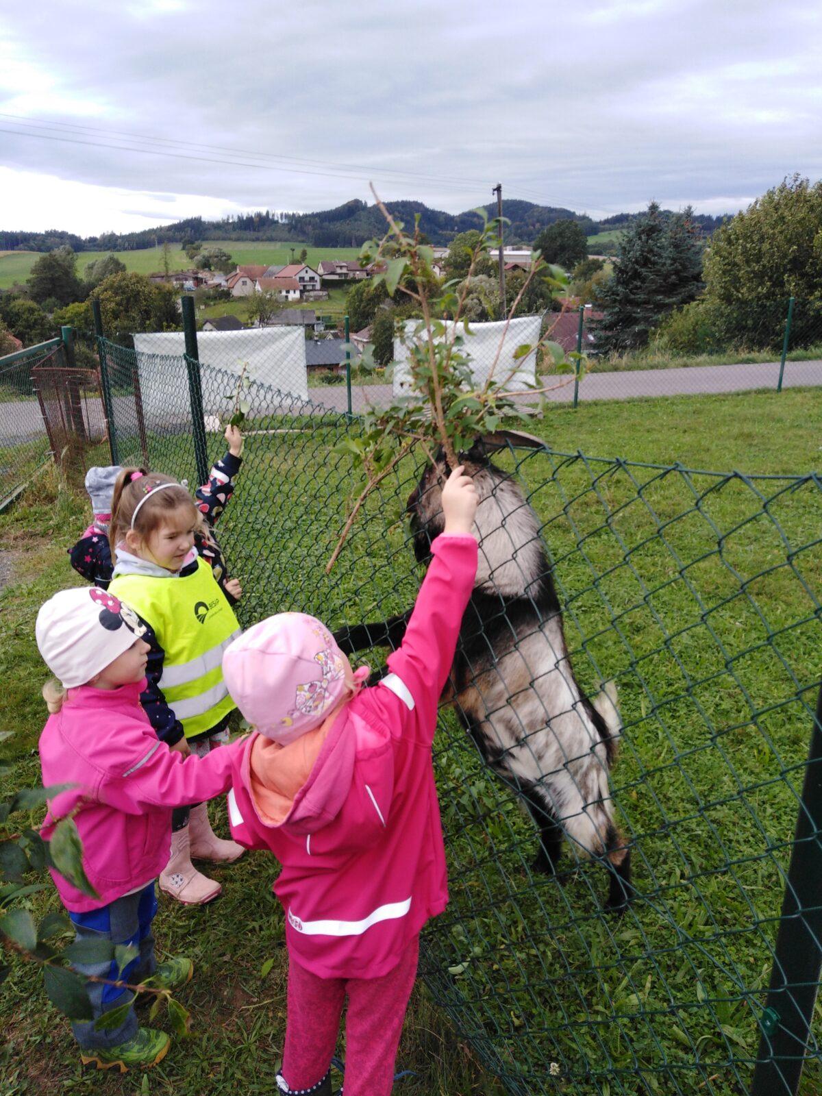 Broučci: vycházky za zvířátky - 20