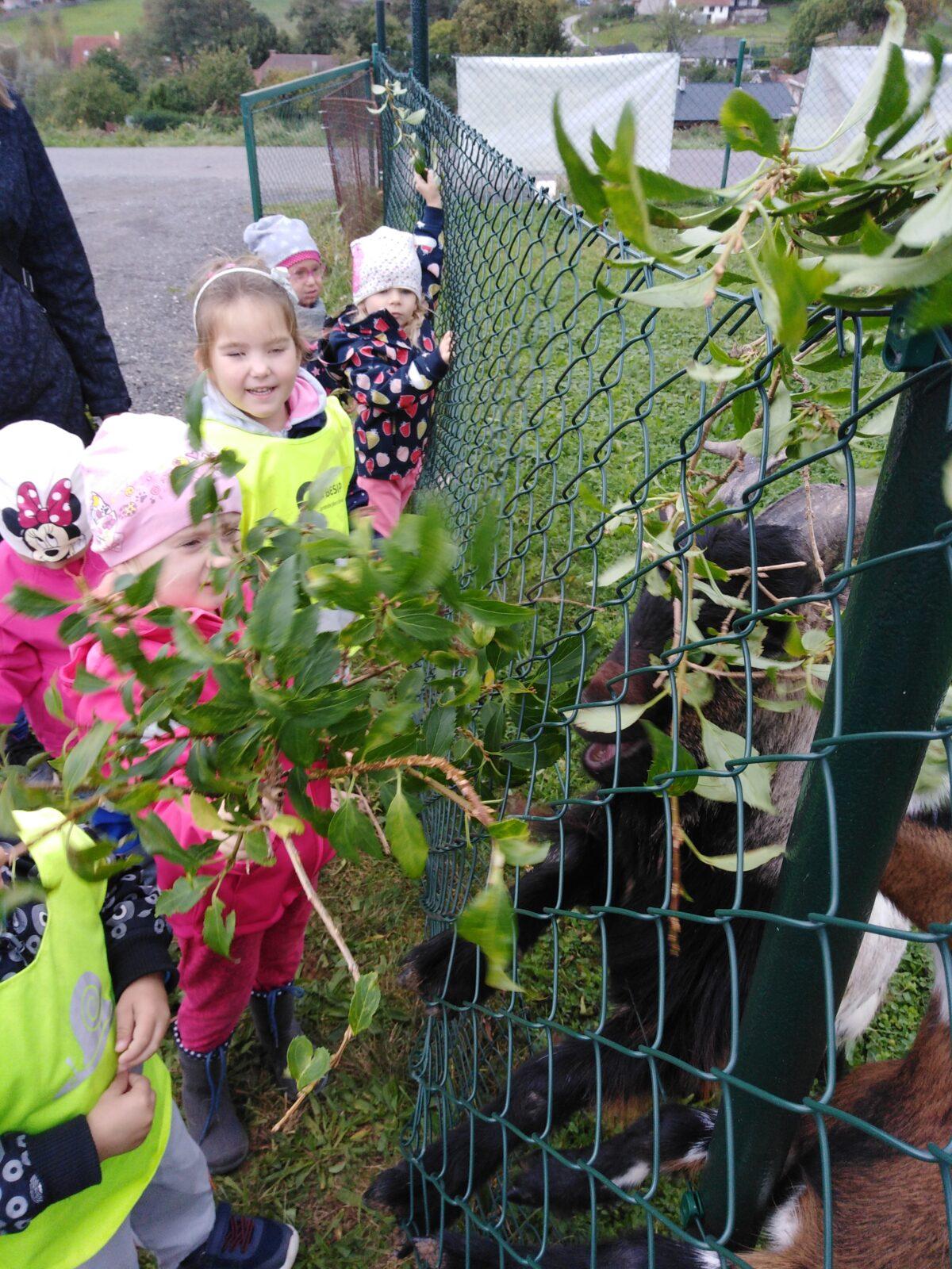 Broučci: vycházky za zvířátky - 23