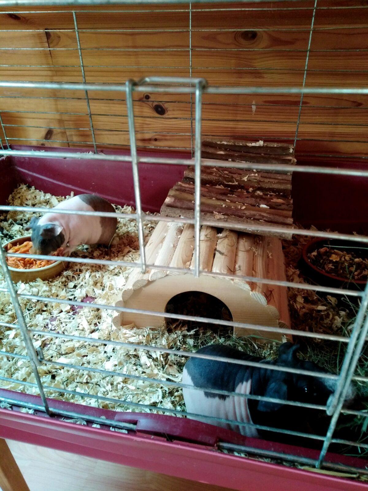 24. 10. Distanční výuka v 1. třídě - 19