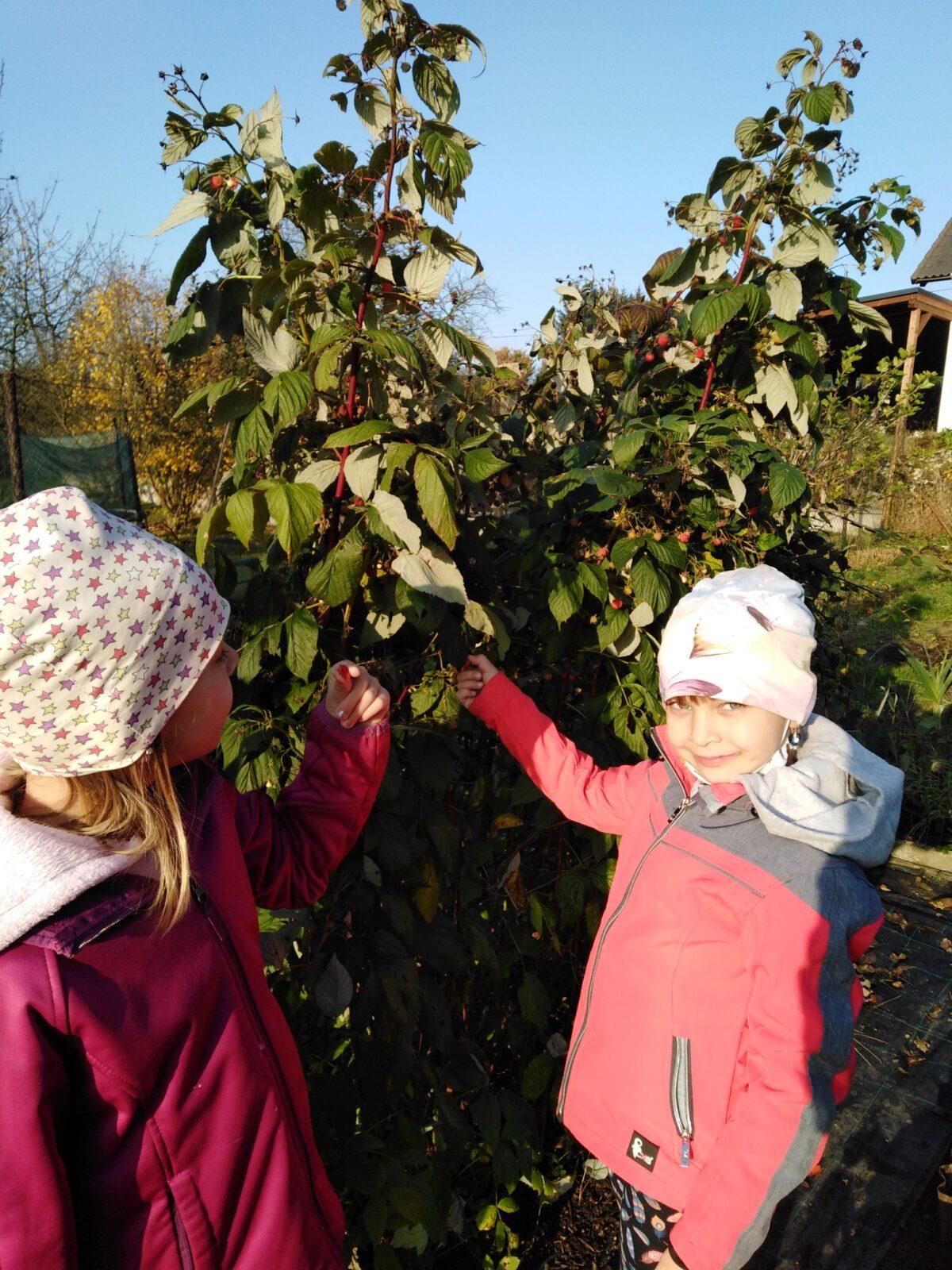 7. 11. distanční výuka v 1. třídě - 53