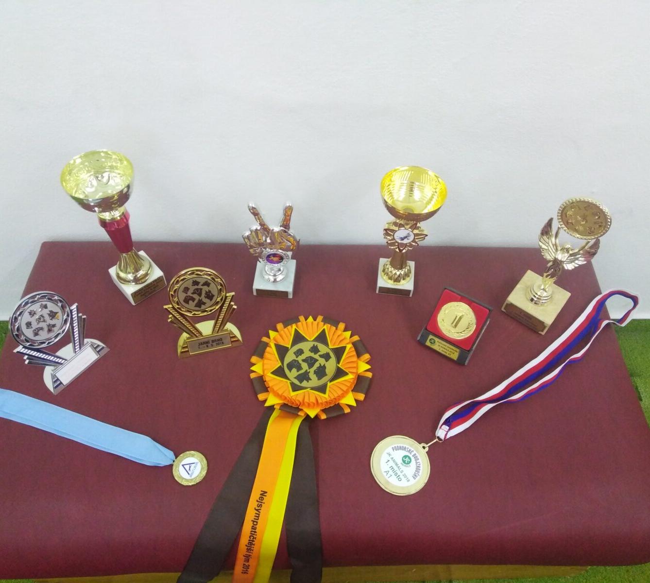 Projektový den v MŠ: AGILITY - 7