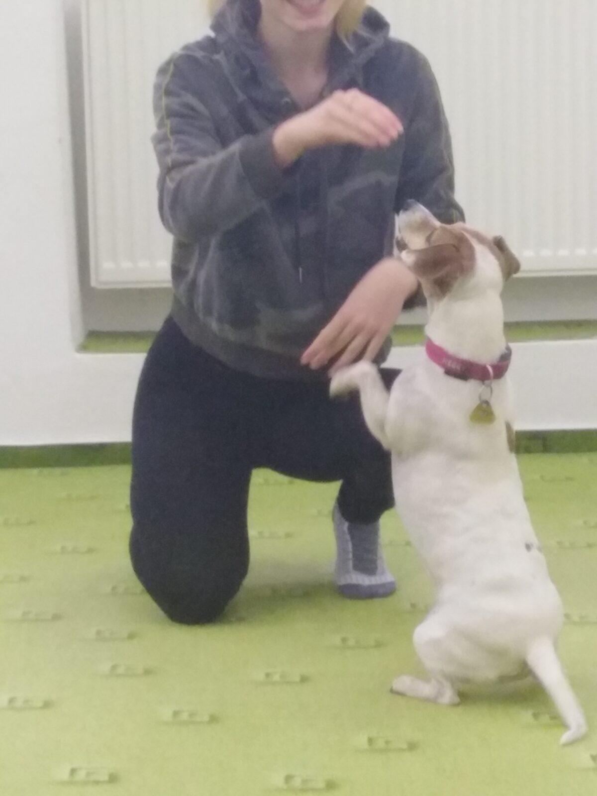 Projektový den v MŠ: AGILITY - 15