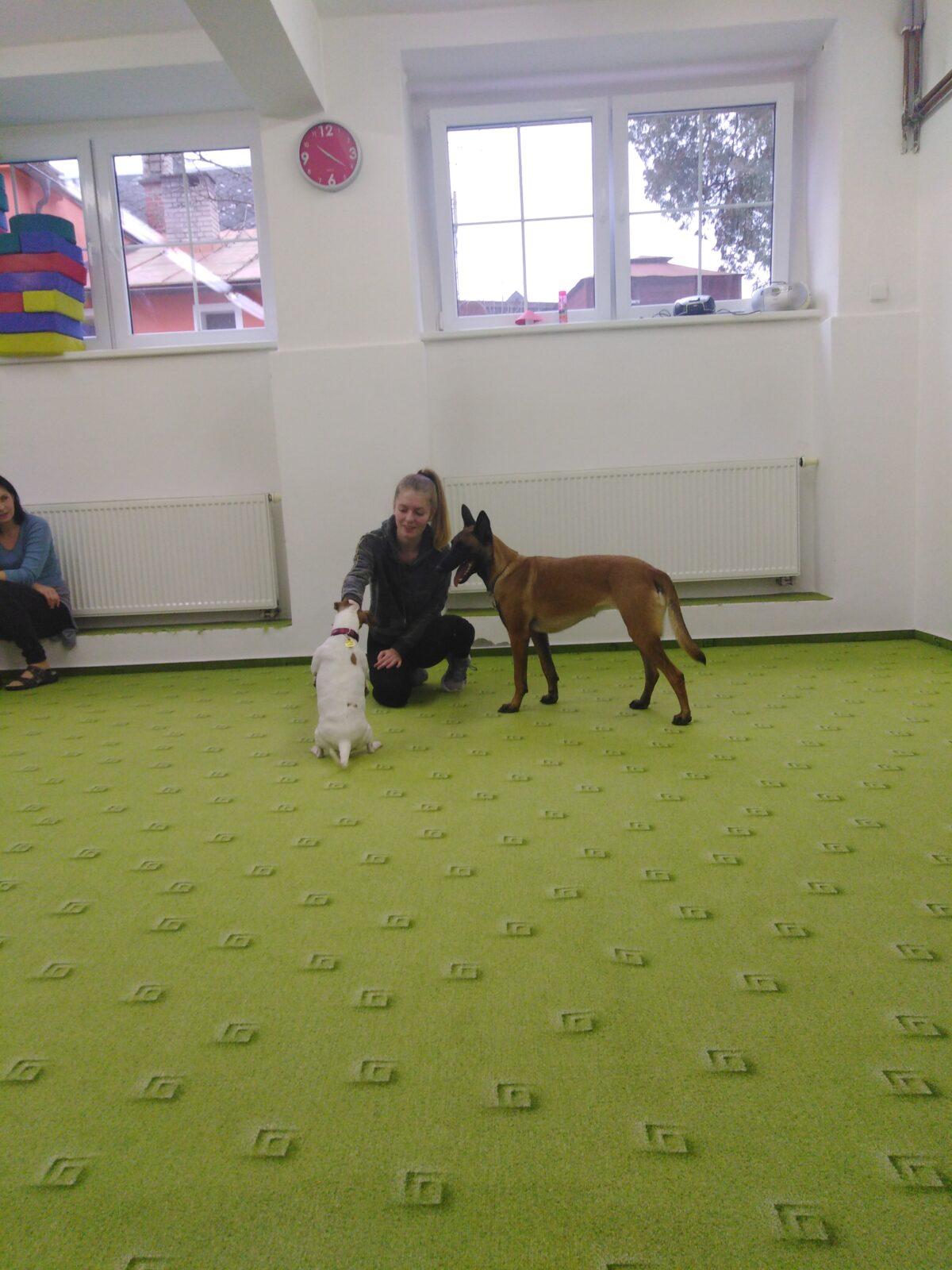 Projektový den v MŠ: AGILITY - 18