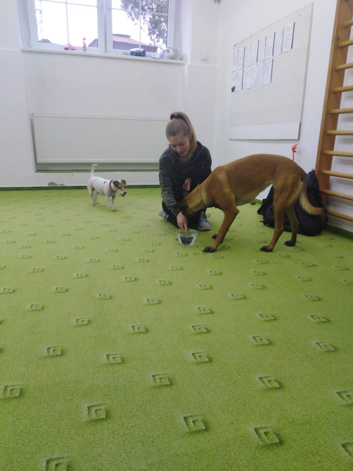 Projektový den v MŠ: AGILITY - 19