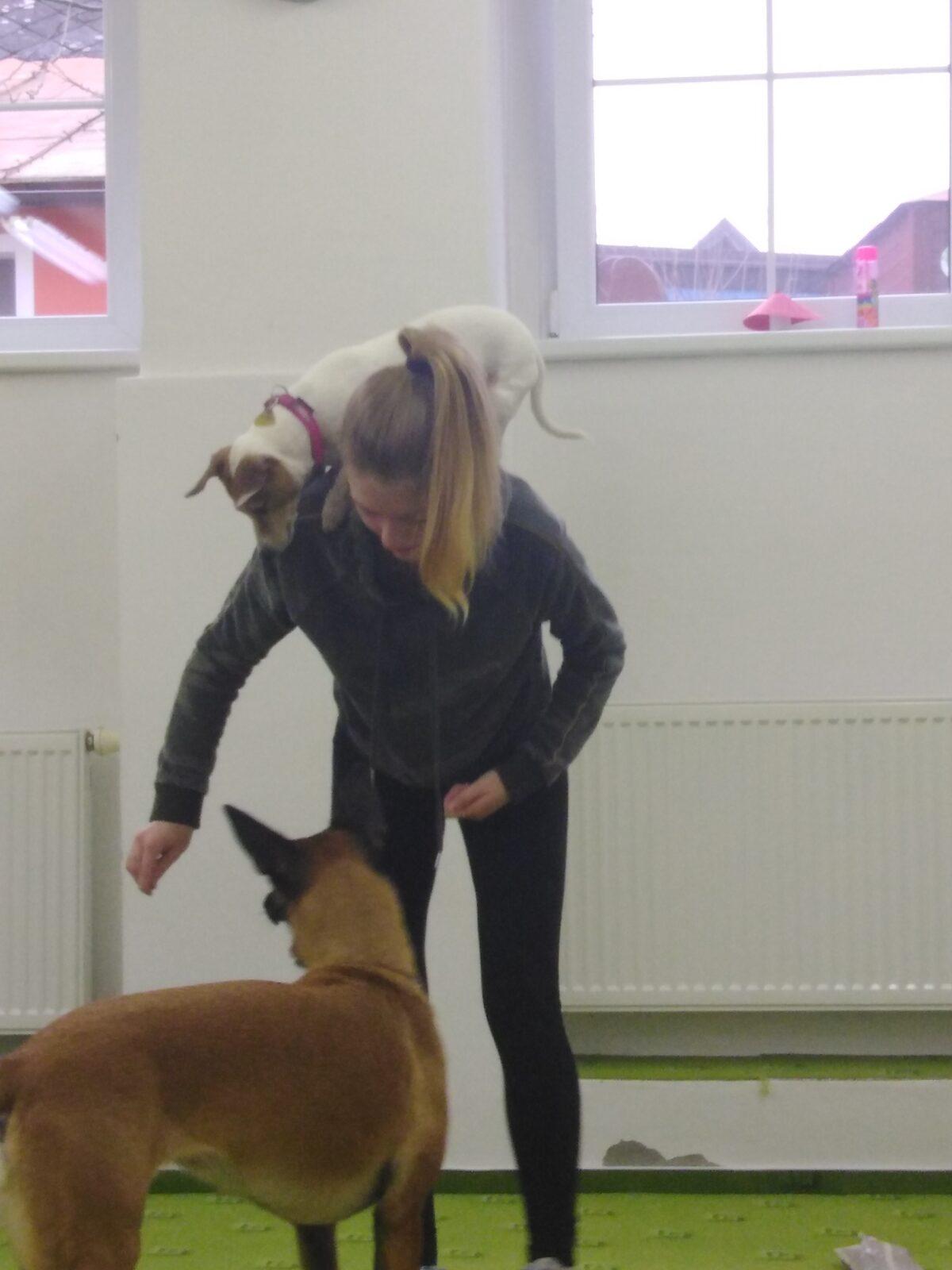 Projektový den v MŠ: AGILITY - 23