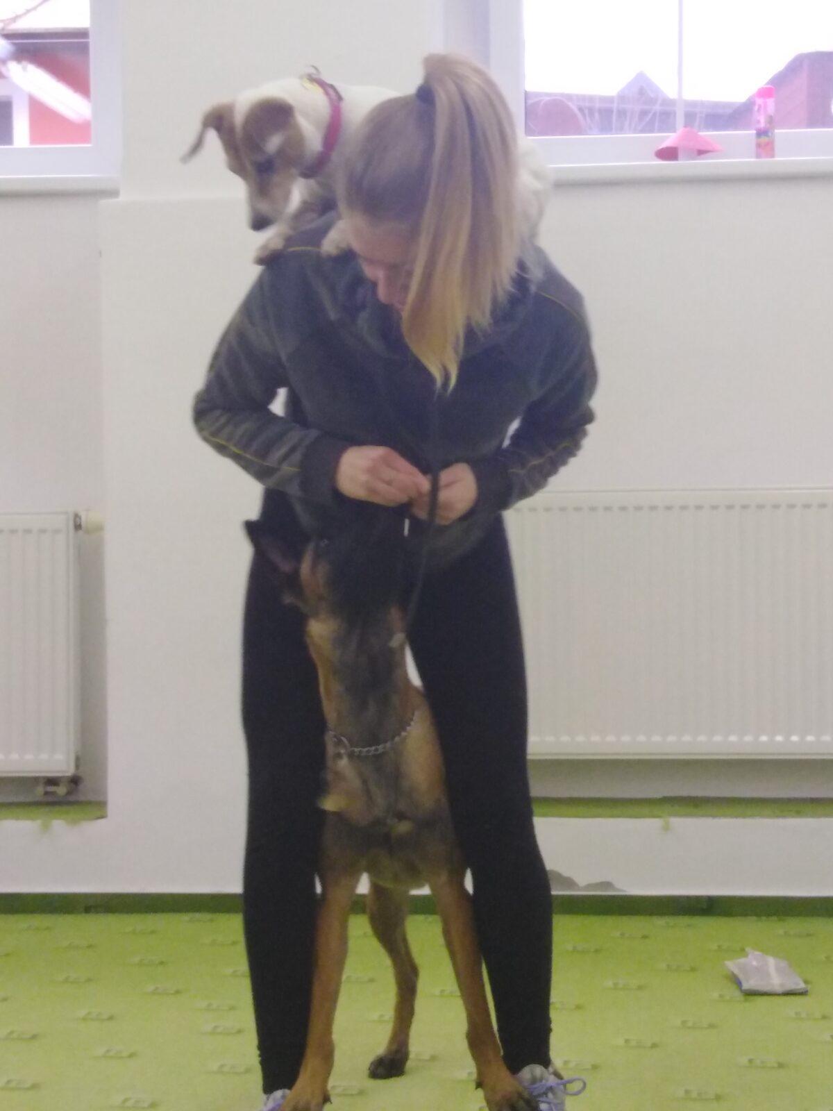 Projektový den v MŠ: AGILITY - 25