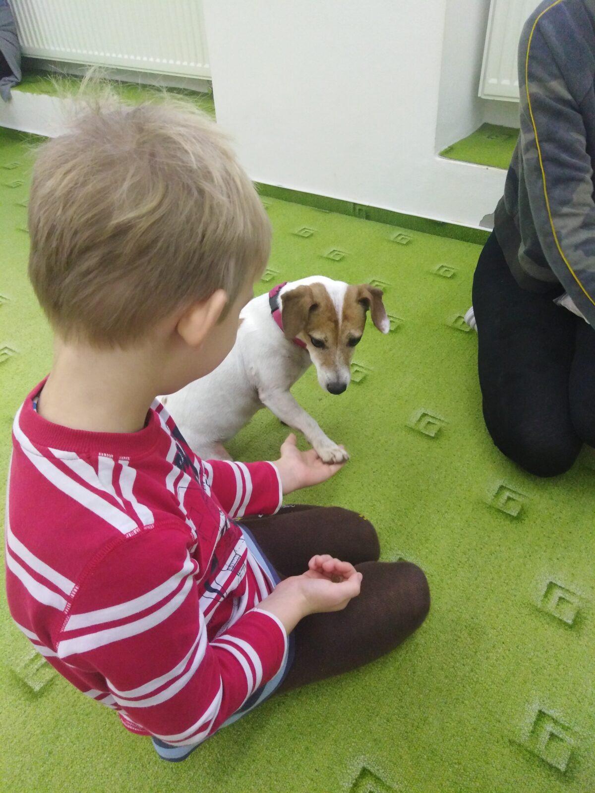 Projektový den v MŠ: AGILITY - 28